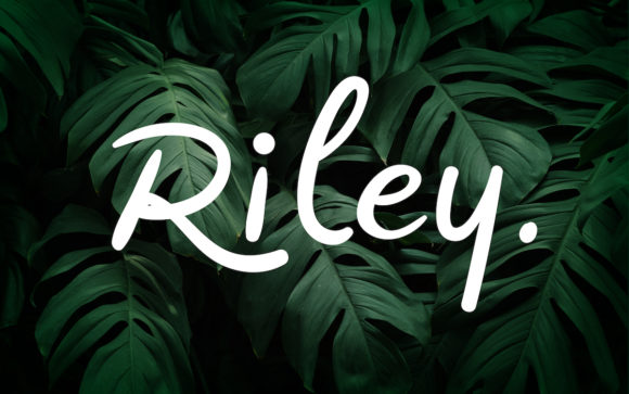 Riley Font: A Handwritten Typeface That Elevates Branding Projects