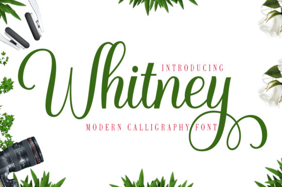 Whitney: A Versatile Handwritten Typeface for Modern Web Design